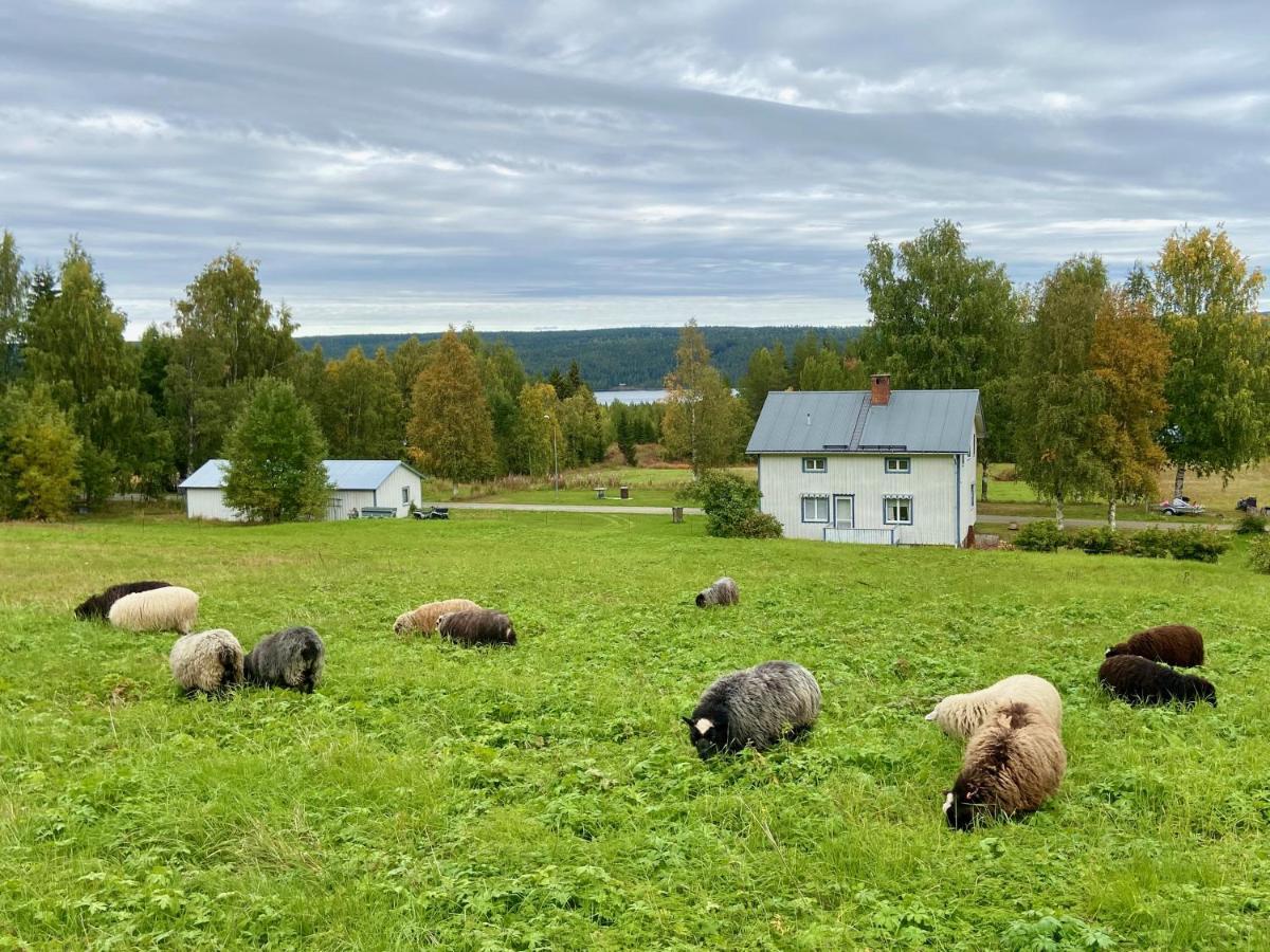 Vildmarksgard Lillviken Stromsund Ngoại thất bức ảnh